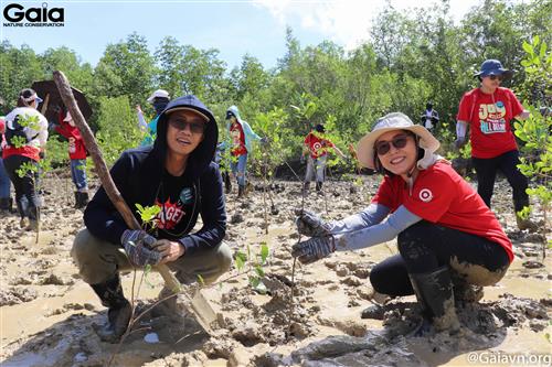 Niềm vui khi gieo mầm xanh