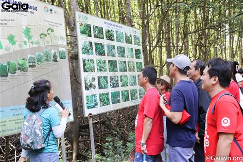 Khám phá thiên nhiên Cần Giờ