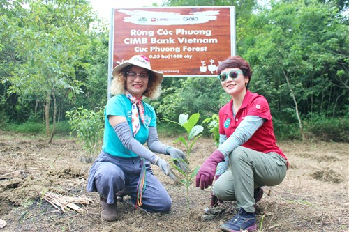Ngân hàng CIMB tham gia trồng 1000 cây rừng Cúc Phương