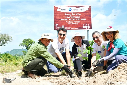  P&G Việt Nam và Central Retail Việt Nam trồng 1000 cây rừng Tà Kóu cho chương trình Forests for Good lần 3