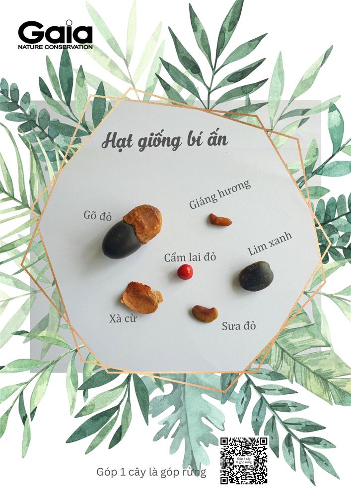  Ngày hội Yêu cây - Hạt giống bí ẩn  