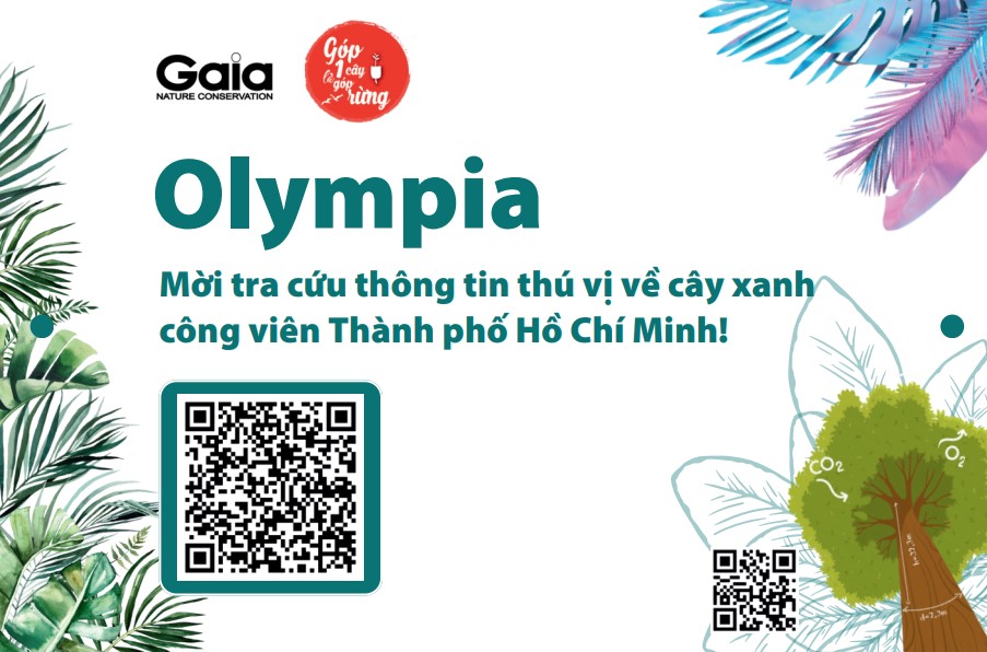 OLYMPIA - TRA CỨU THÔNG TIN CÂY XANH THÀNH PHỐ HỒ CHÍ MINH 