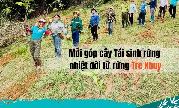 TRỒNG RỪNG XUÂN LIÊN - ĐỢT 14