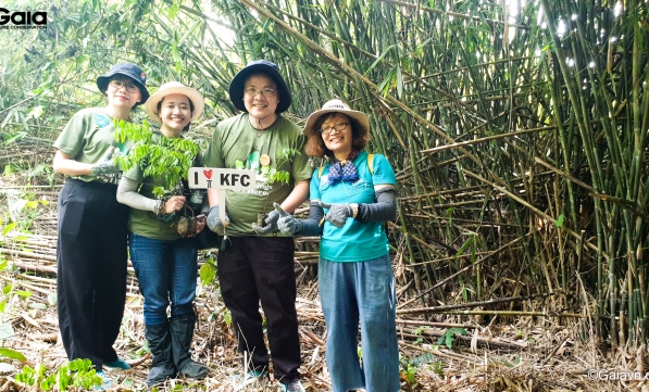 KFC VIỆT NAM GÓP 1000 CÂY RỪNG BẾN EN CHUNG TAY ỨNG PHÓ BIẾN ĐỔI KHÍ HẬU