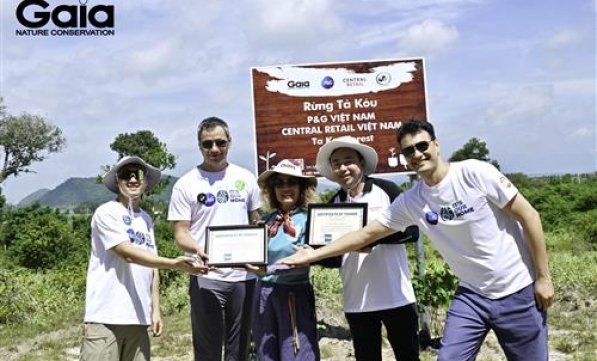 P&G VÀ CENTRAL RETAIL VIỆT NAM TỔ CHỨC NGÀY HỘI TRỒNG RỪNG NĂM 2025 TẠI KHU BẢO TỒN THIÊN NHIÊN TÀ KÓU