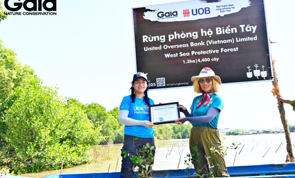 UOB VIỆT NAM TRỒNG 4.400 CÂY RỪNG VÌ TƯƠNG LAI BỀN VỮNG