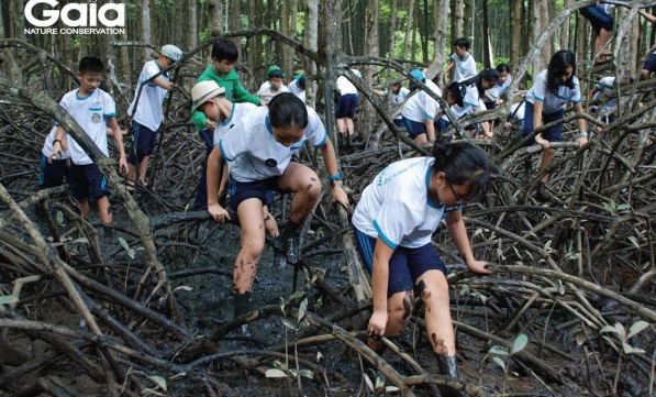 HƠN 200 HỌC SINH HỌC TẬP TRẢI NGHIỆM SÁNG TẠO TẠI CẦN GIỜ
