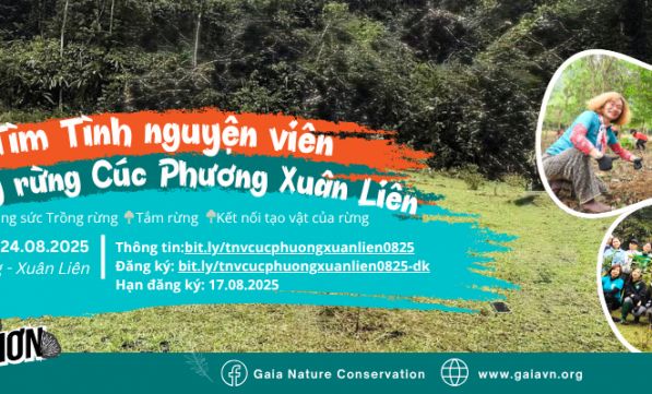 TÌNH NGUYỆN VIÊN TRỒNG RỪNG CÚC PHƯƠNG - XUÂN LIÊN 08.2025
