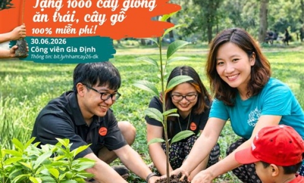 TẶNG GIỐNG CÂY GỖ LỚN CÂY ĂN TRÁI HOÀN TOÀN MIỄN PHÍ