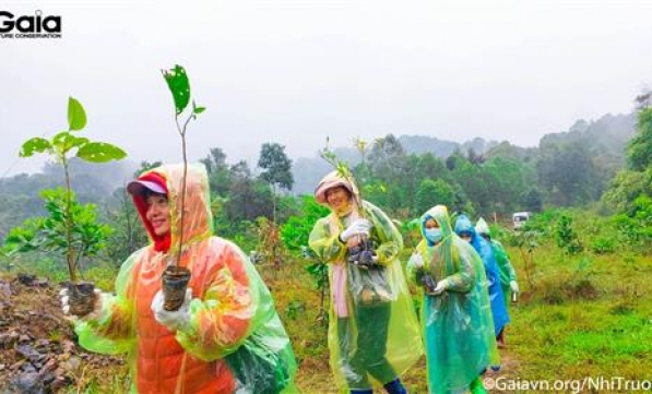 TRỒNG GẦN 20 NGÀN CÂY GỖ LỚN ỨNG PHÓ VỚI BIẾN ĐỔI KHÍ HẬU NHÂN NGÀY THẾ GIỚI TRỒNG CÂY  