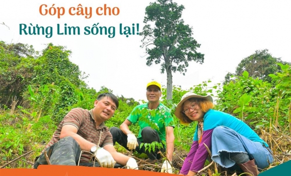 TRỒNG RỪNG BẾN EN - ĐỢT 8