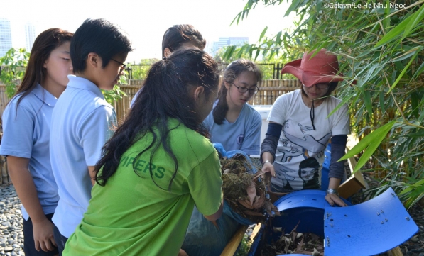 Dự án phân xanh – Kỳ 4: BẮT ĐẦU LÀM PHÂN XANH 