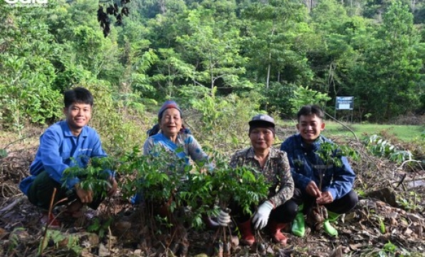 P&G VÀ CENTRAL RETAIL TRỒNG RỪNG XUÂN LIÊN  ƯƠM MẦM MỘT VIỆT NAM XANH