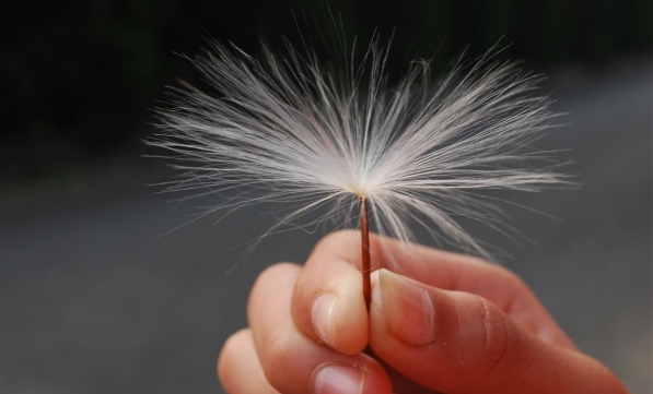 Sống thân thiện với Trái Đất cùng Gaia