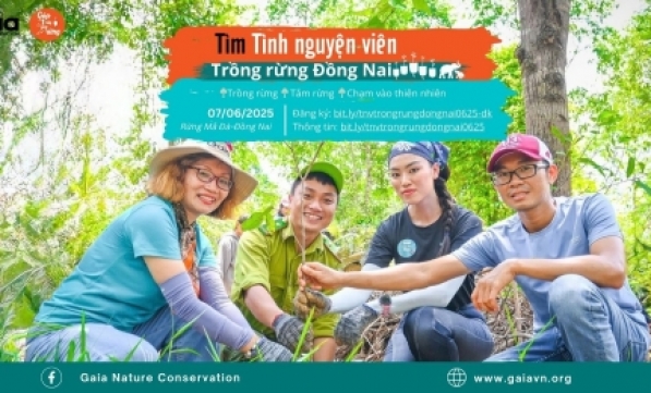 TÌNH NGUYỆN VIÊN TRỒNG RỪNG ĐỒNG NAI