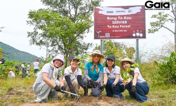 SERVIER TRỒNG 500 CÂY RỪNG TÀ KÓU VÌ SỨC KHỎE HÀNH TINH XANH