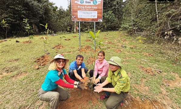 CỘNG ĐỒNG NGƯỜI HÂM MỘ CỦA NGHỆ SĨ S.T SƠN THẠCH VÀ NGHỆ SĨ NEKO LÊ GÓP 1.172 CÂY XANH LAN TỎA YÊU THƯƠNG ĐẾN THIÊN NHIÊN 