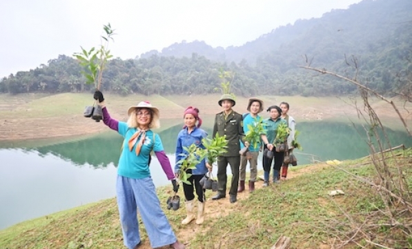 TRỒNG HƠN 40 NGÀN CÂY GỖ LỚN ỨNG PHÓ VỚI BIẾN ĐỔI KHÍ HẬU NHÂN NGÀY THẾ GIỚI TRỒNG CÂY