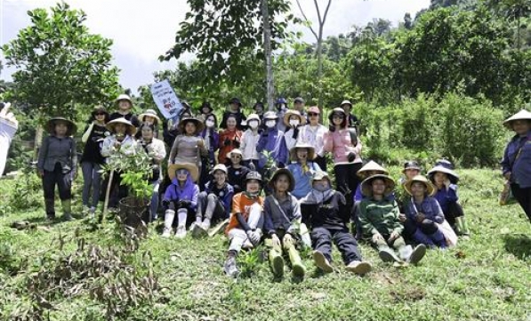 TRỒNG 31 NGÀN CÂY GỖ LỚN PHỦ XANH RỪNG MIỀN TRUNG TẠO BÌNH AN CHO MUÔN LOÀI 