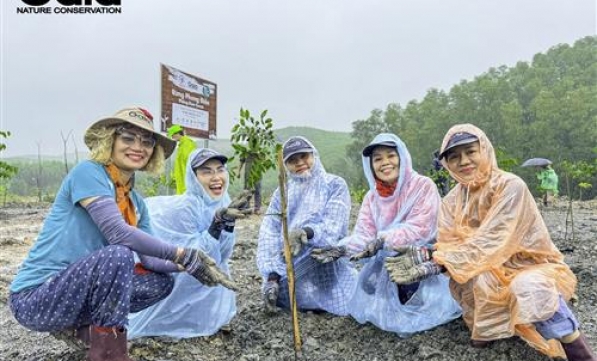 TRỒNG GẦN 300.000 CÂY TRÊN 7 KHU RỪNG ĐẦU NGUỒN