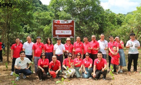 CADIVI CÙNG GAIA TRỒNG 3.000 CÂY GỖ LỚN VÌ TƯƠNG LAI BỀN VỮNG