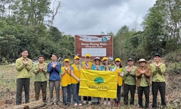 CATHAY LIFE GIEO MẦM XANH CHO RỪNG PHONG ĐIỀN TỪ NHỮNG BƯỚC CHÂN 