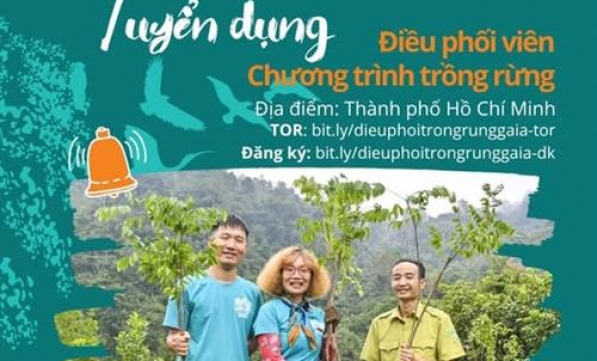 GAIA TÌM KIẾM ĐIỀU PHỐI VIÊN CHƯƠNG TRÌNH TRỒNG RỪNG