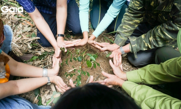 TRỒNG RỪNG XUÂN LIÊN - ĐỢT 8