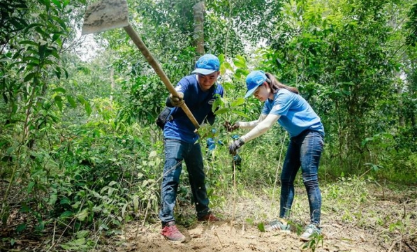 CÔNG TY INTEL TRỒNG RỪNG BẢO VỆ VOI