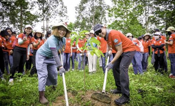 KFC VIỆT NAM VỮNG BƯỚC TRÊN HÀNH TRÌNH TRỒNG RỪNG PHỦ XANH VIỆT NAM 