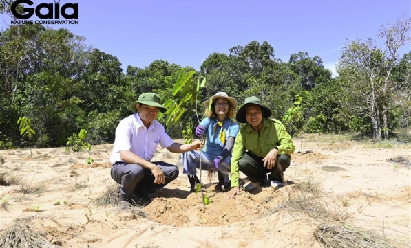 TRỒNG RỪNG TÀ KÓU