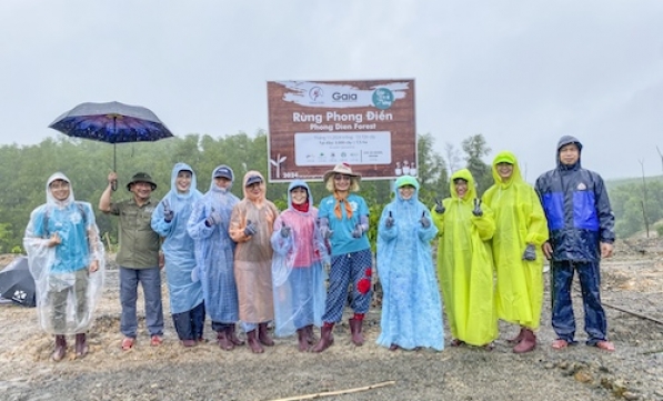STARBUCKS GÓP XANH RỪNG PHONG ĐIỀN CÙNG GAIA