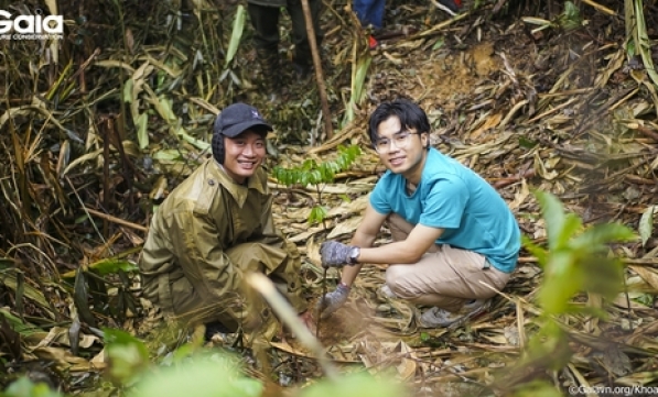 FASLINK TRỒNG 1000 CÂY RỪNG BẾN EN VÌ TƯƠNG LAI XANH BỀN VỮNG 