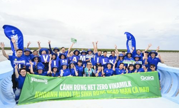 VINAMILK NỖ LỰC BỀN BỈ VỚI CÁNH RỪNG NET ZERO ĐẤT MŨI CÀ MAU