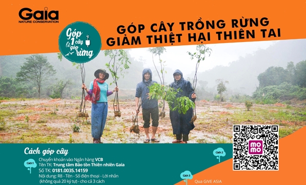 TRỒNG RỪNG BẠCH MÃ - ĐỢT 3