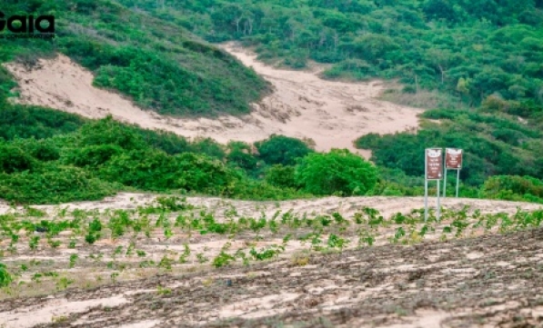 PHÁT ĐỘNG CHƯƠNG TRÌNH TRỒNG RỪNG CHUNG TAY PHÒNG CHỐNG SA MẠC HÓA