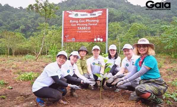 10.000 CÂY RỪNG ĐÁNH DẤU 20 NĂM THÀNH LẬP VÀ PHÁT TRIỂN TASECO