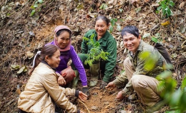 CASHION SỐNG ĐẸP GÓP XANH 1000 CÂY CHO RỪNG XUÂN LIÊN